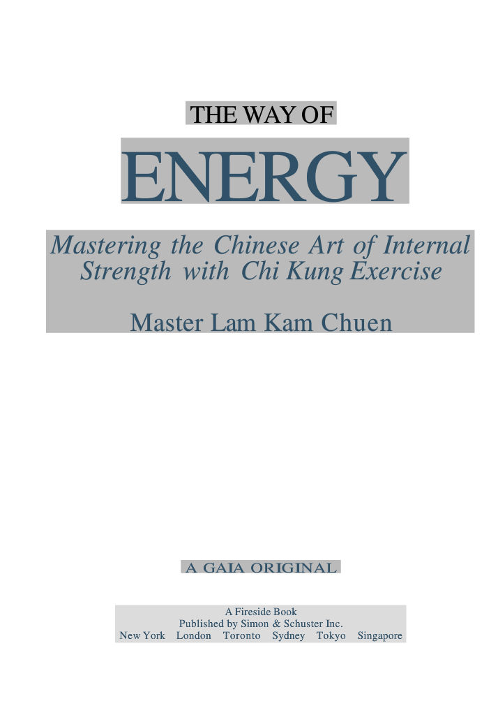 The Way of Energy - Mastering the Chinese Art of Internal Strength with ...