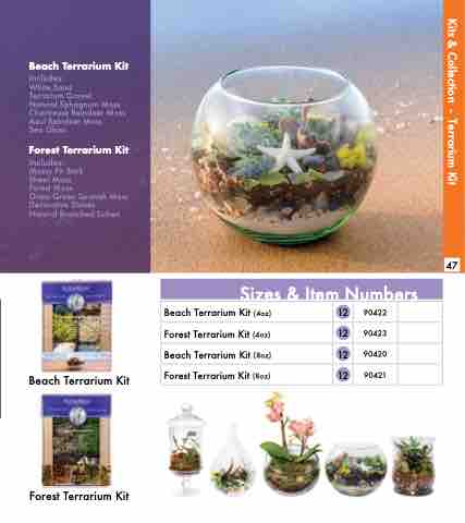 Beach Terrarium Kit - SuperMoss