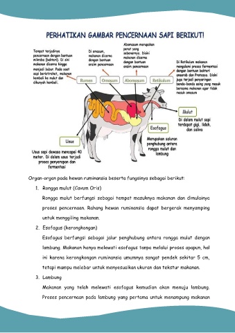 Page 12 BAHAN AJAR FLIP BOOK.docx