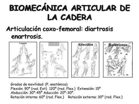 abducción y aducción de cadera