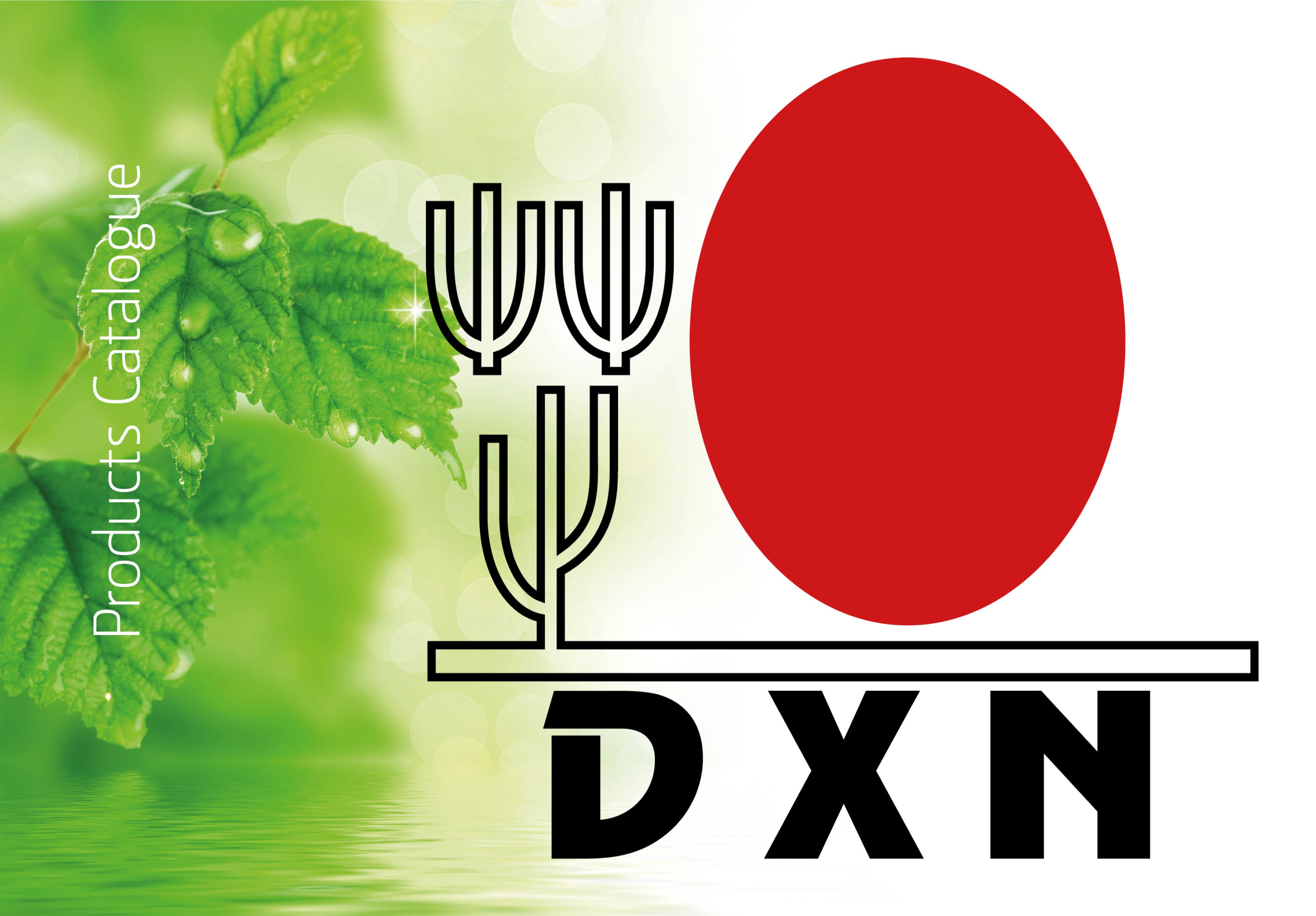 DXN América Oficial