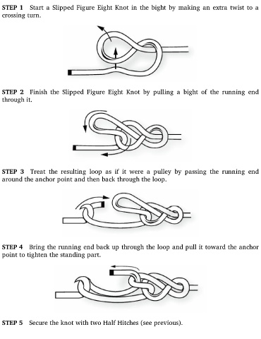 ESTP – Page 2 – Like An Anchor