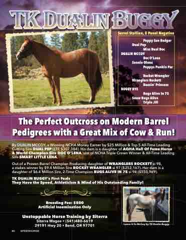Barrel Stallion Register 2019